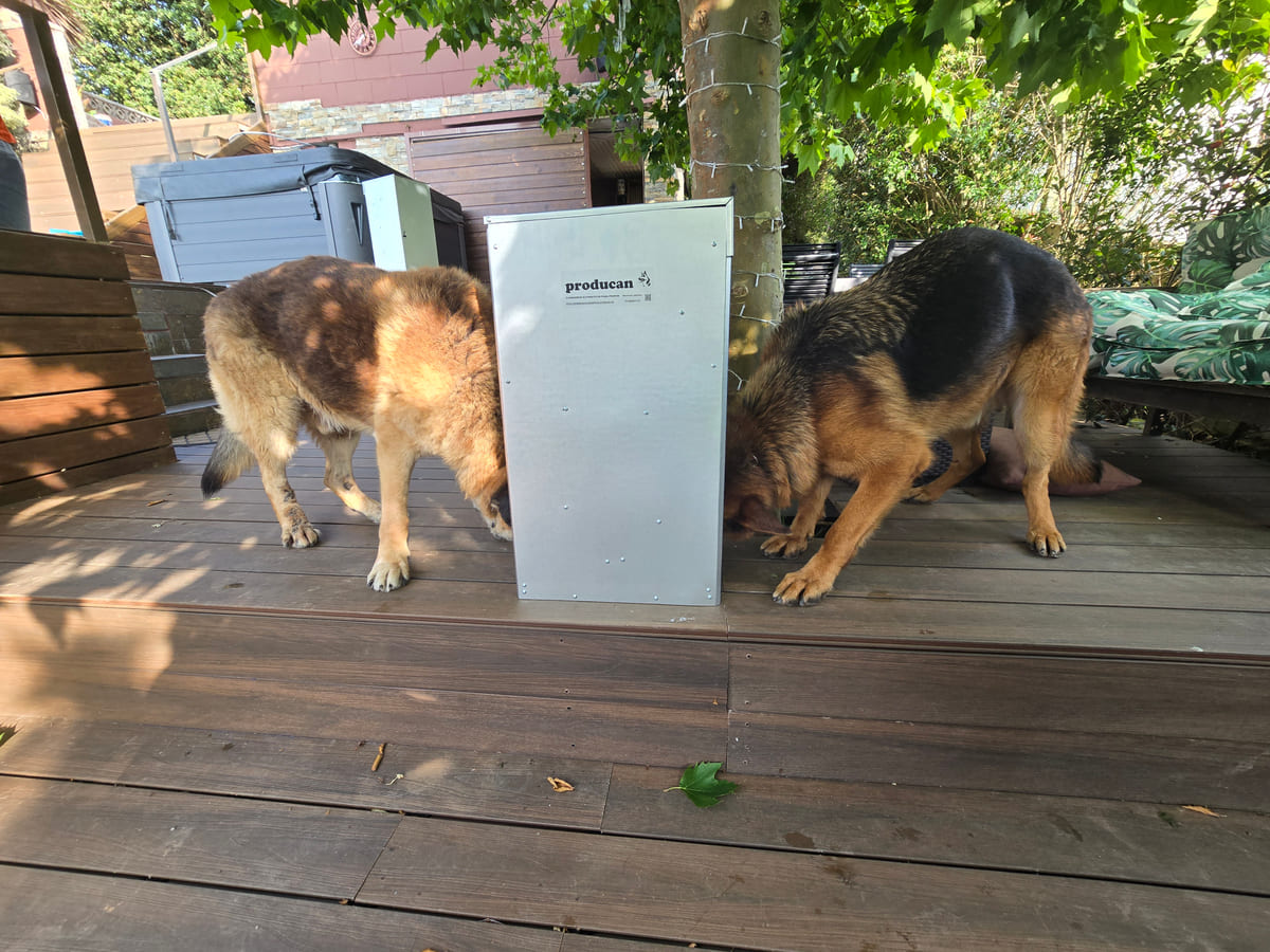 ¿Cuánto pienso come al día un perro grande?